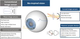 Bio Inspired Visual Systems Based On