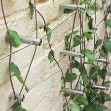 Green Wall Extended Wire Trellis Hub