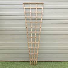 Natural Fan Trellis 1 8 Metres X 0 6