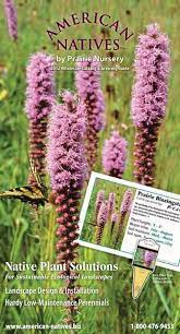 Prairie Nursery