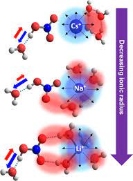 Microhydrated Alkali Metal Ions