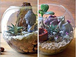 Terrarium The New Clean And Green Idea