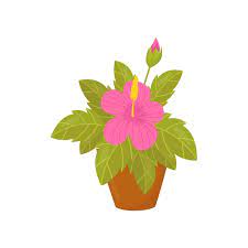 Vector Houseplant With Pink Flowers