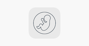 Fetal Percentile Calculator On The App