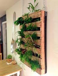 Creative Living Wall Planter Ideas