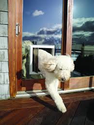 Pet Door Through Glass Learning