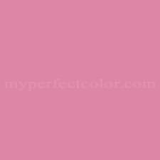 Sherwin Williams Sw6850 Vivacious Pink