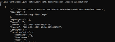 update docker image and container