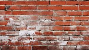 Red Brick Wall Texture With White