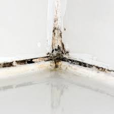 Mould In Silicone Shower
