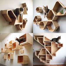 Cat Climbing System For Walls
