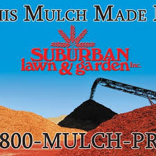 Suburban Lawn Garden Yard Waste In