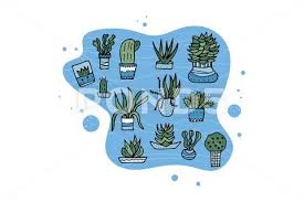 Succulents In Doodle Style Set Of
