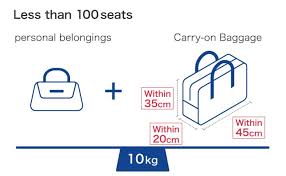 Baggage Size And Rules Domestic Flights Ana