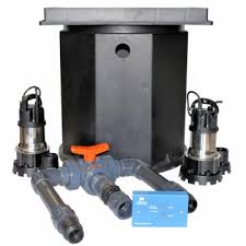Sump And Dual Pump System Basement