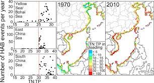 Harmful Algal Blooms In Chinese Coastal