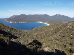 Day Walks Freycinet Wild Sight