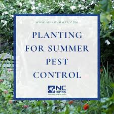 Planting For Summer Pest Control