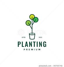 Planting Vase Pots Gardening Flower