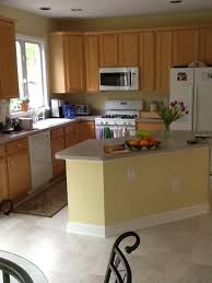 Appliances For These Maple Cabinets