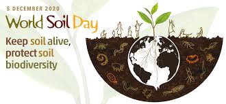 World Soil Day 2020 Carmel Clay Parks