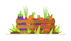 Vegetable Garden Icon Vector Images