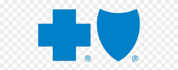 Blue Cross Blue Shield Icon