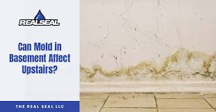 Can Mold In Basement Affect Upstairs