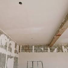 Ceiling Gypsum Plaster Services At Best