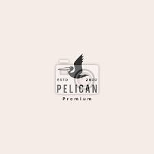 Pelican Gulf Bird Coast Beach Logo