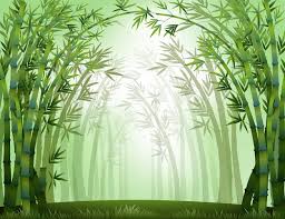 Bamboo Forest Vectors Ilrations