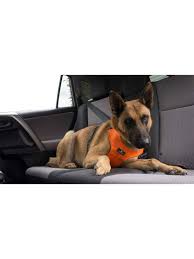 It Sport Dog Car Safety Harness
