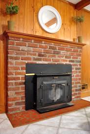 Old Woodstove Fireplace Insert
