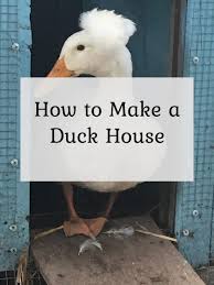 How To Make A Duck House The Cape Coop