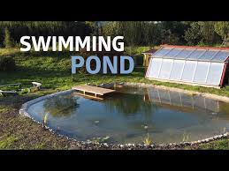 Building A Natural Swimming Pond And