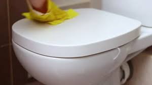 Toilet Flush Flushing Stock Footage