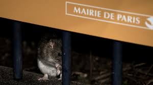 Rat Paris Declares War On City