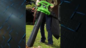 Electric Leaf Blowers