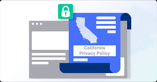 California Privacy Policy Template And