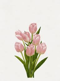 Pink Tulips Watercolour Painting