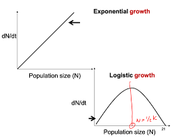 Bio 215 Population Growth Flashcards