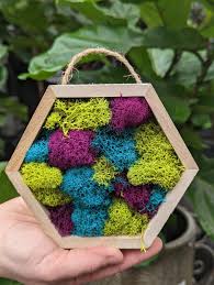 Mini Moss Frame Diy The Watering Can