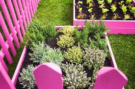 23 Amazing Garden Edging Ideas