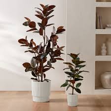 Faux Potted Rubber Tree West Elm