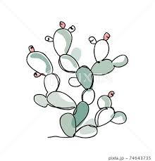 Prickly Pear Cactus Vector In Modern