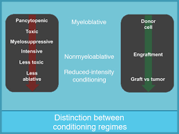 myeloablative versus non myeloablative hsct