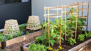 Bamboo Structures For The Garden