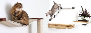 Cat Hammocks For Walls Catastrophic