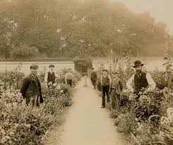 Victorian Gardener Garden History