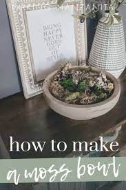 How To Make A Diy Moss Bowl Easy